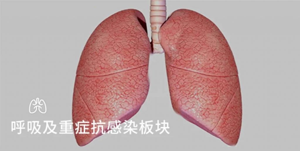 2121非凡(中国游)体育官方网站