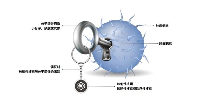 2121非凡(中国游)体育官方网站