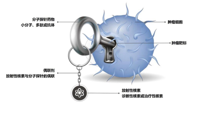 2121非凡(中国游)体育官方网站
